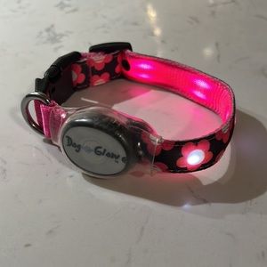 Dog-e-Glow collar